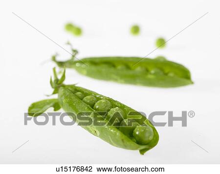 Stock Image - Two peapods with peas. Fotosearch