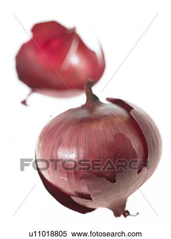 Two raw red onions View Large Photo Image Stock Photography - Two raw red onions. Fotosearch