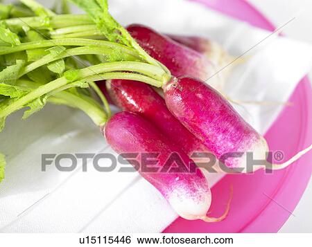Stock Photograph - Fresh Radishes on plate. Fotosearch