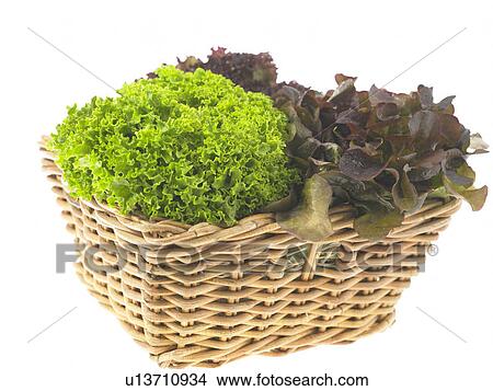 Lettuce in a basket View Large Photo Image Picture - Lettuce in a basket. Fotosearch