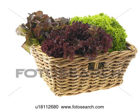 Stock Image - Lettuce in a basket. Fotosearch