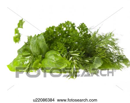 Mixed Herbs View Large Photo Image Picture - Mixed Herbs. Fotosearch