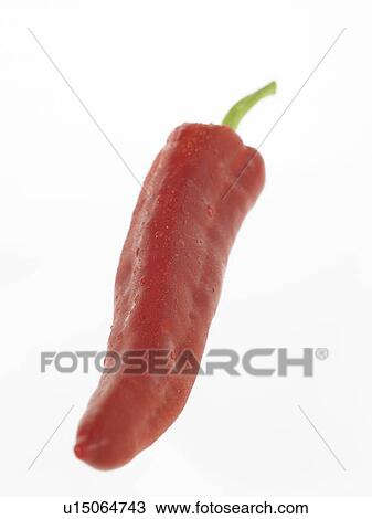 Stock Image - One Ramiro Pepper. Fotosearch