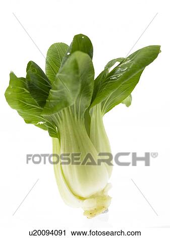 Stock Image - Pak Choi. Fotosearch