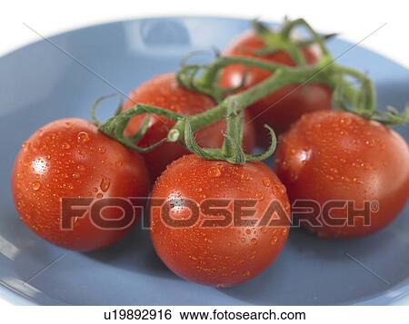 Stock Photograph - Plate of vine Tomatoes with dew. Fotosearch
