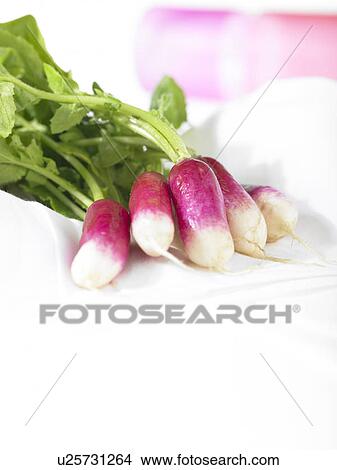 Radishes View Large Photo Image Picture - Radishes. Fotosearch