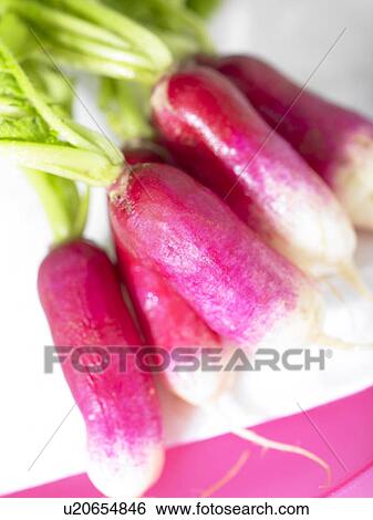 Radishes View Large Photo Image Stock Photograph - Radishes. Fotosearch