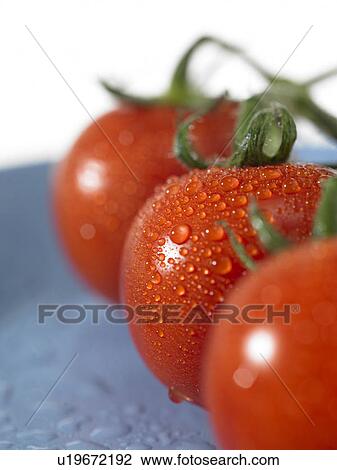 Stock Image - Red Tomatoes. Fotosearch