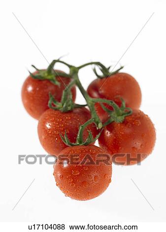 Stock Photo - Red Tomatoes. Fotosearch