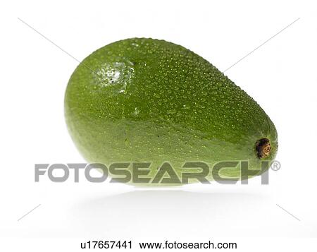 Stock Image - Single Avocado. Fotosearch