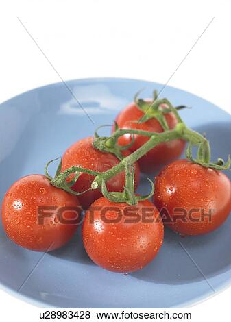 Tomatoes View Large Photo Image Stock Photo - Tomatoes. Fotosearch