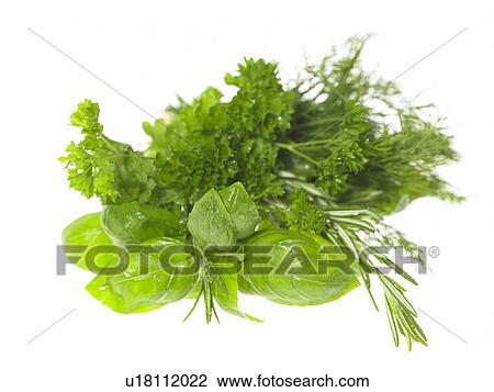 Stock Image - Various assorted Herbs. Fotosearch