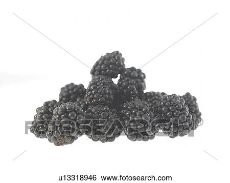 Stock Photograph - Blackberries. Fotosearch