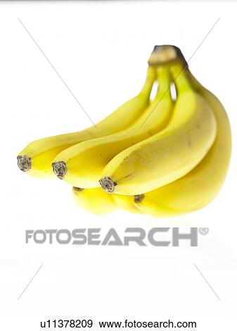 Bunch of Bananas View Large Photo Image Stock Photo - Bunch of Bananas. Fotosearch