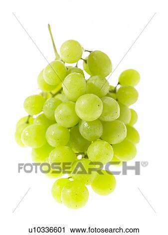 Stock Image - Bunch of green Grapes. Fotosearch