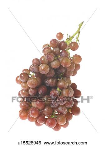 Bunch of red Grapes View Large Photo Image Stock Photograph - Bunch of red Grapes. Fotosearch