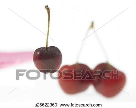 Cherries View Large Photo Image Stock Image - Cherries. Fotosearch