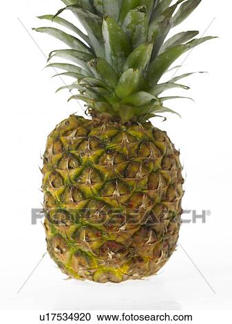 Stock Image - Close-up of a pineapple. Fotosearch