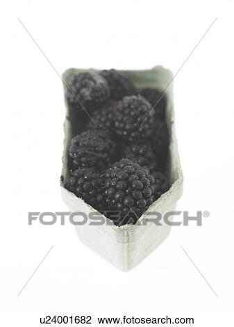 Container of Blackberries View Large Photo Image Stock Image - Container of Blackberries. Fotosearch