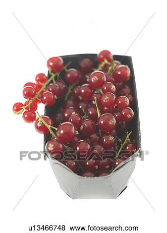 Stock Photo - Container of Red currants. Fotosearch