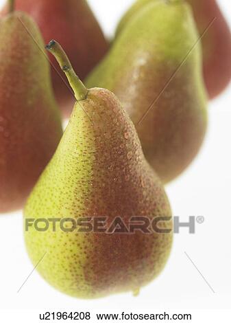 Five Pears with dew on them View Large Photo Image Stock Photo - Five Pears with dew on them. Fotosearch