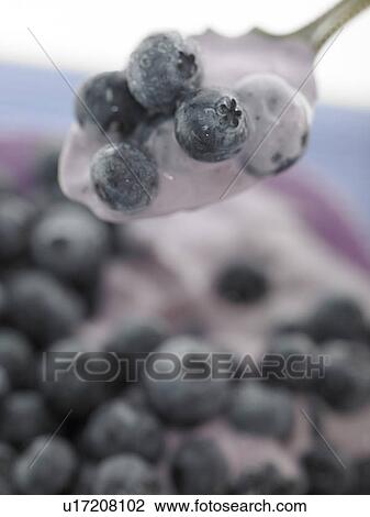 Food, Fruit, blueberries View Large Photo Image Stock Image - Food, Fruit, blueberries. Fotosearch