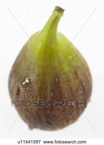 Food, Fruit, Fig View Large Photo Image Stock Photo - Food, Fruit, Fig. Fotosearch