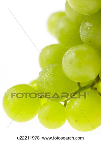 Food, Fruit, Grapes View Large Photo Image Stock Photo - Food, Fruit, Grapes. Fotosearch