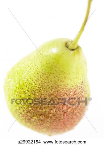 Picture - Food, Fruit, Pear. Fotosearch
