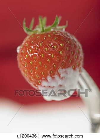 Stock Image - Food, Fruit, Strawberry and cream. Fotosearch