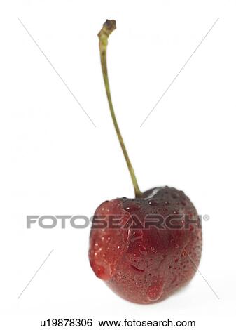 Stock Photograph - One cherry with a small bite out of it. Fotosearch
