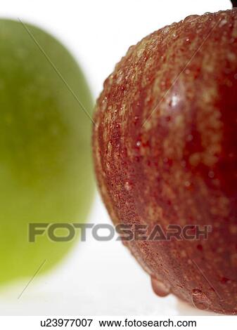 One green apple and one red apple with dew on them View Large Photo Image Stock Photo - One green apple and one red apple with dew on them. Fotosearch