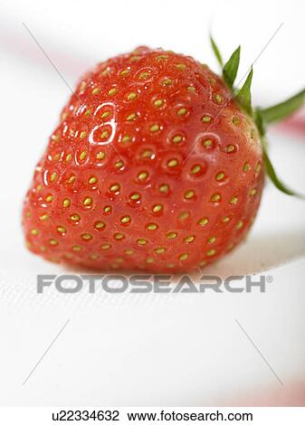 Stock Image - One Strawberry. Fotosearch
