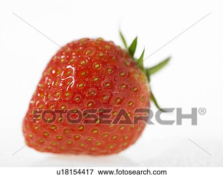 One Strawberry View Large Photo Image Stock Photo - One Strawberry. Fotosearch