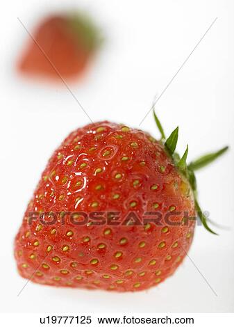One Strawberry with another strawberry in background View Large Photo Image Stock Photography - One Strawberry with another strawberry in background. Fotosearch