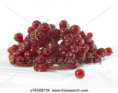 Pile of Red currants View Large Photo Image Stock Photo - Pile of Red currants. Fotosearch