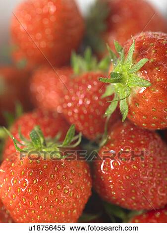 Stock Photography - Pile of Strawberries. Fotosearch