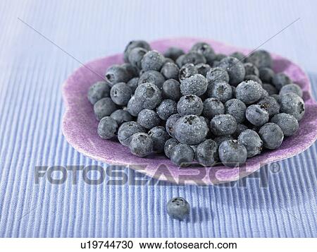 Plate of Blueberries View Large Photo Image Stock Image - Plate of Blueberries. Fotosearch