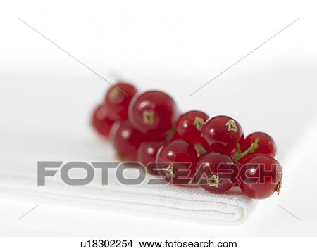 Red currants View Large Photo Image Picture - Red currants. Fotosearch