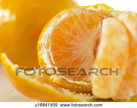 Satsuma View Large Photo Image Stock Photo - Satsuma. Fotosearch