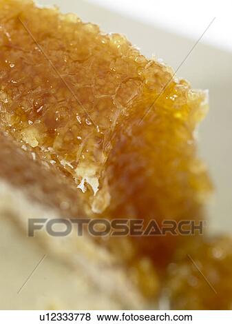 Stock Photo - A piece of honey comb. Fotosearch