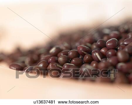 Aduki beans in a bowl View Large Photo Image Stock Image - Aduki beans in a bowl. Fotosearch
