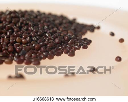 Aduki beans View Large Photo Image Stock Image - Aduki beans. Fotosearch