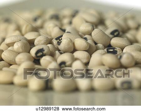 Black Eye Beans View Large Photo Image Stock Photo - Black Eye Beans. Fotosearch
