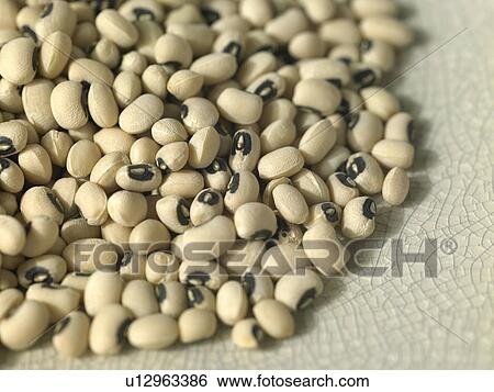 Stock Photograph - Black Eye Beans. Fotosearch