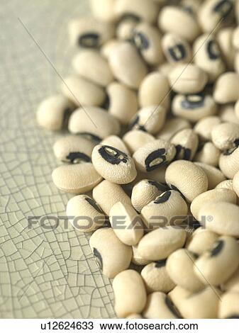 Stock Image - Black-eyed Beans. Fotosearch