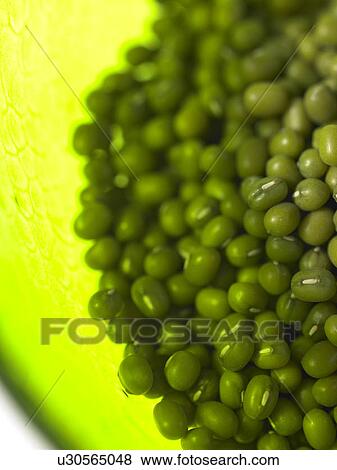 Stock Photo - Bowl of Mung Beans. Fotosearch