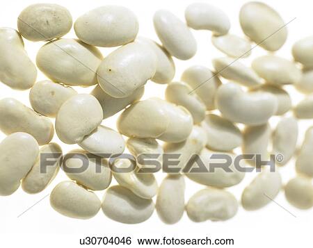 Stock Photograph - Butter Beans. Fotosearch