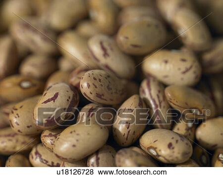 Close up of Borlotti Beans View Large Photo Image Stock Photo - Close up of Borlotti Beans. Fotosearch
