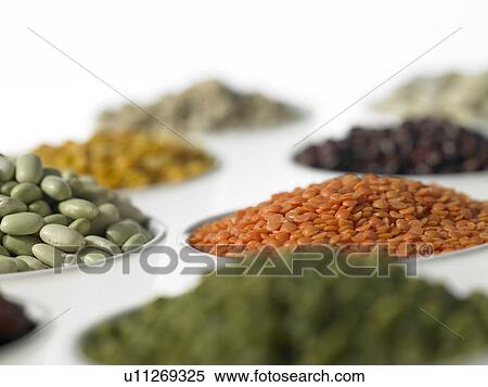 Stock Photography - Eight bowls of various Beans. Fotosearch